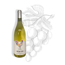 Coq aux vents - Chardonnay